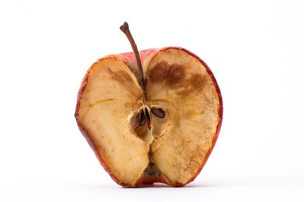 Rotten to the core: Big money pushes PARCC and Common Core
