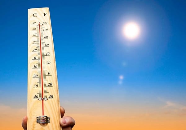 Mayor Walsh issues heat advisory