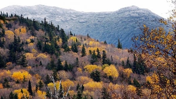 Are Canadian rivers the solution to NE power prices?