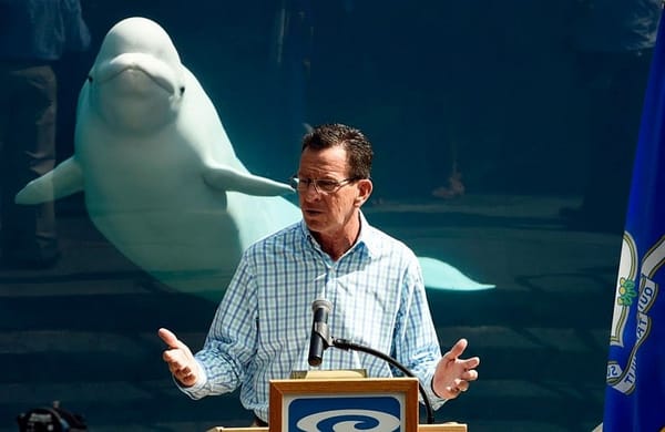 Beluga whale photobombs Connecticut Gov. Malloy