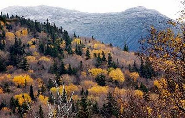 New Hampshire launches new foliage tracker