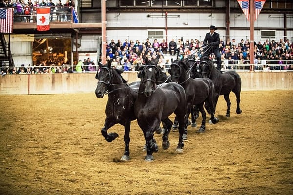 Historic Topsfield Fair begins 197th edition Friday
