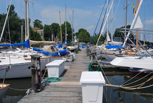 Pair arrested for enjoying meal, taking selfies on boat while family slept