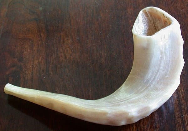 The Rosh Hashanah wakeup call