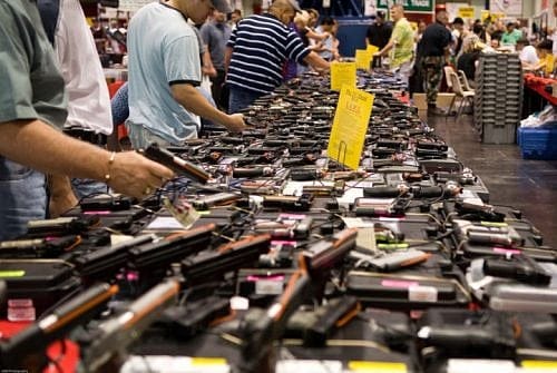 Vermont Senate Committee Approves Bill To Allow Police To Take Guns Away in Some Situations
