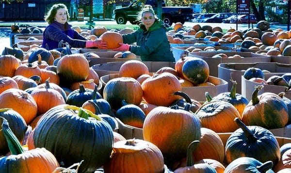 After unrest, N.H. pumpkin fest aims for jack-o-lantern mark