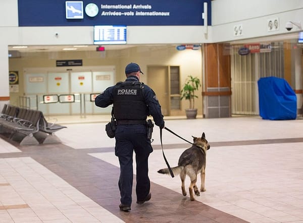 No threat found on both diverted flights from US to Paris