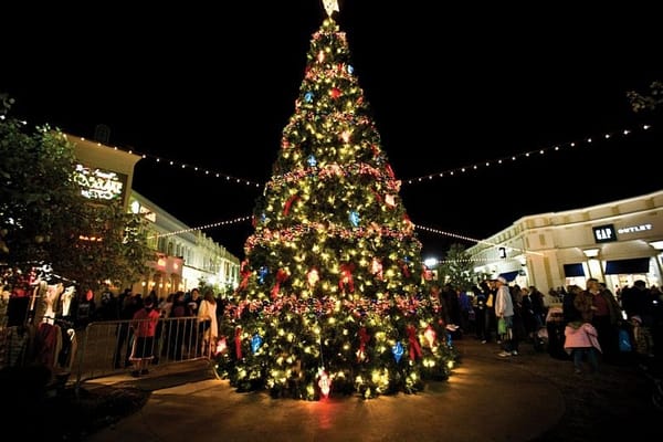 No ‘Christmas’ trees in New Hampshire