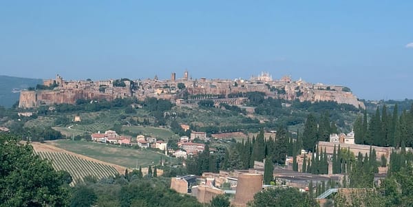 In plain air: The spectacle of looking