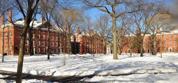 Harvard’s frenetic pace leads students to hook up, not date