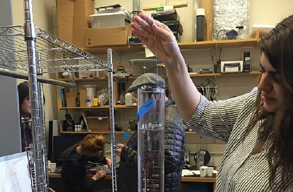 MIT Senseable City Lab envisions future cities