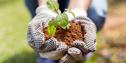 Parents know best: The keys to year-round gardening care