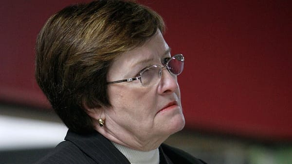 Democrats denounce GOP ‘pinata’ comment on Supreme Court