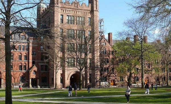 Yale professors who stood up for free speech step down