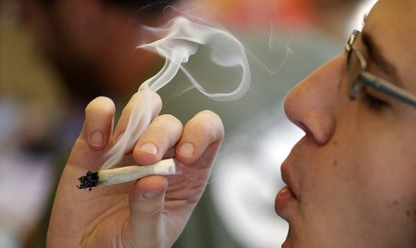 Marijuana may help break addiction to painkillers, heroin