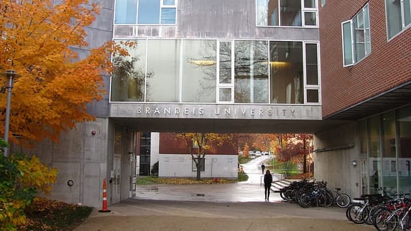 Judge rips Brandeis for handling of sexual assault case
