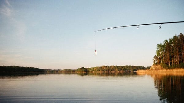 Catching more than fish: 8 lessons for building your business
