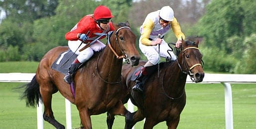 What it takes to become a Thoroughbred