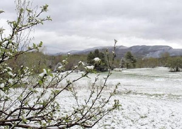 Snow coats parts of Northern New England, Massachusetts
