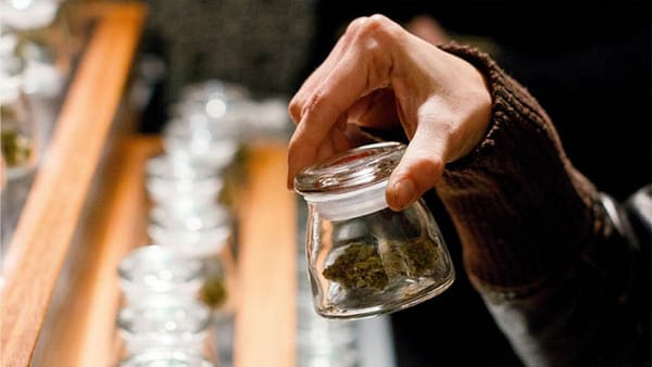 Pot shops more lucrative than Whole Foods