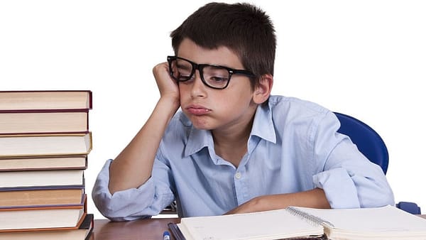 Were Common Core’s ELA Standards written by charlatans? Sure seems so. 