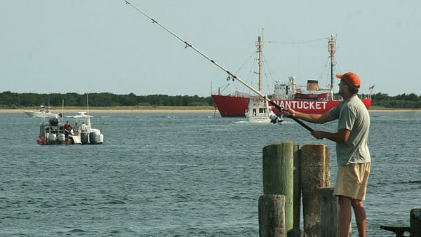 UMass awarded patent with implications for fish monitoring