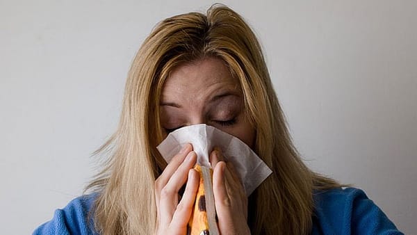Study finds Connecticut’s paid sick leave hurts young workers the most