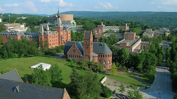 Thousands sign Cornell petition demanding free tampons for women and men