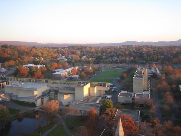 UMass officials address Harambe ‘microaggression’