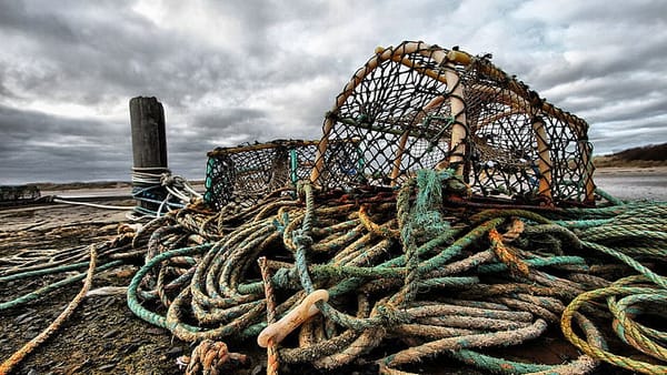 Mass. lobsterman press pols to ease access to restriced areas