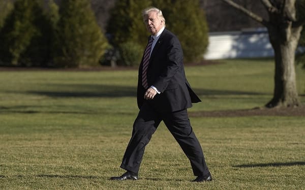 U.S. News Democratic State Legislators Weight Moves to Counter Trump