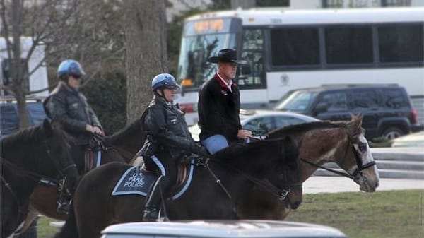 What Did the Horse Know, and When Did He Know It?