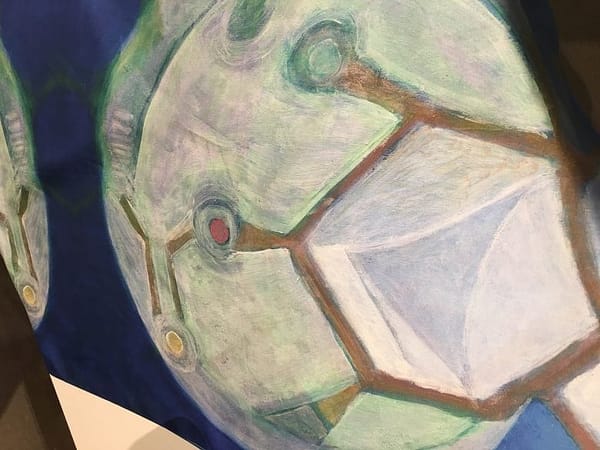 ‘World of WearableArt’ Show WOWs ‘Em At Peabody Essex Museum in Salem