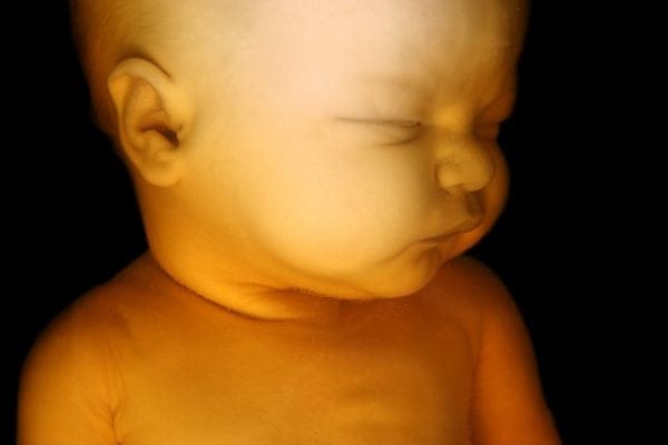Pregnancy Centers Shouldn’t Have To Advertise for Abortion Clinics – And You Shouldn’t Have To, Either