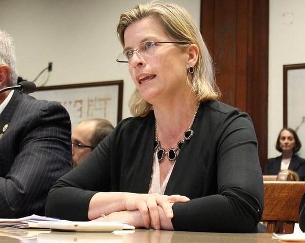Gun-Owning A ‘Privilege,’ Massachusetts State Rep Says