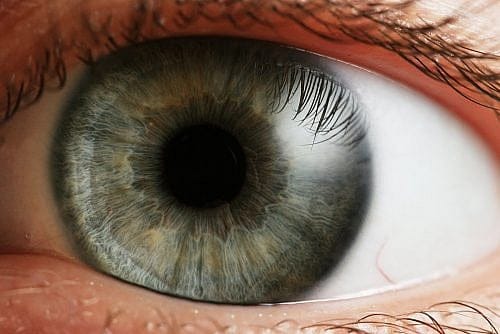 Fourteen Worms in Your Eye?