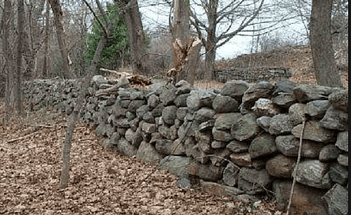 Irreplaceable Old Stone Walls in Peril in New England