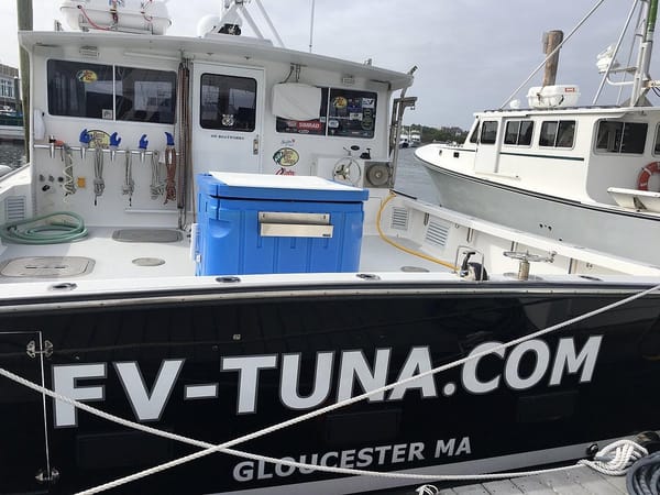 State Bans Rafting of Boats