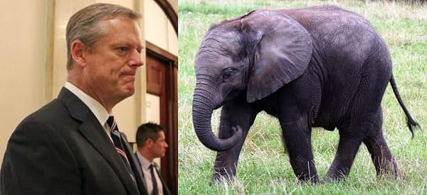 Blank Charlie Baker, Massachusetts Republican Group Says
