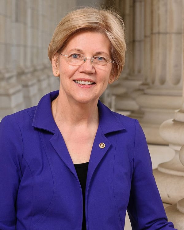 Elizabeth Warren Thrilled Kamala Harris Got VP Slot Instead of Her