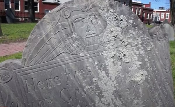 Couple In Quandary Over Missing Gravestone Found in Double Tree In Their Back Yard