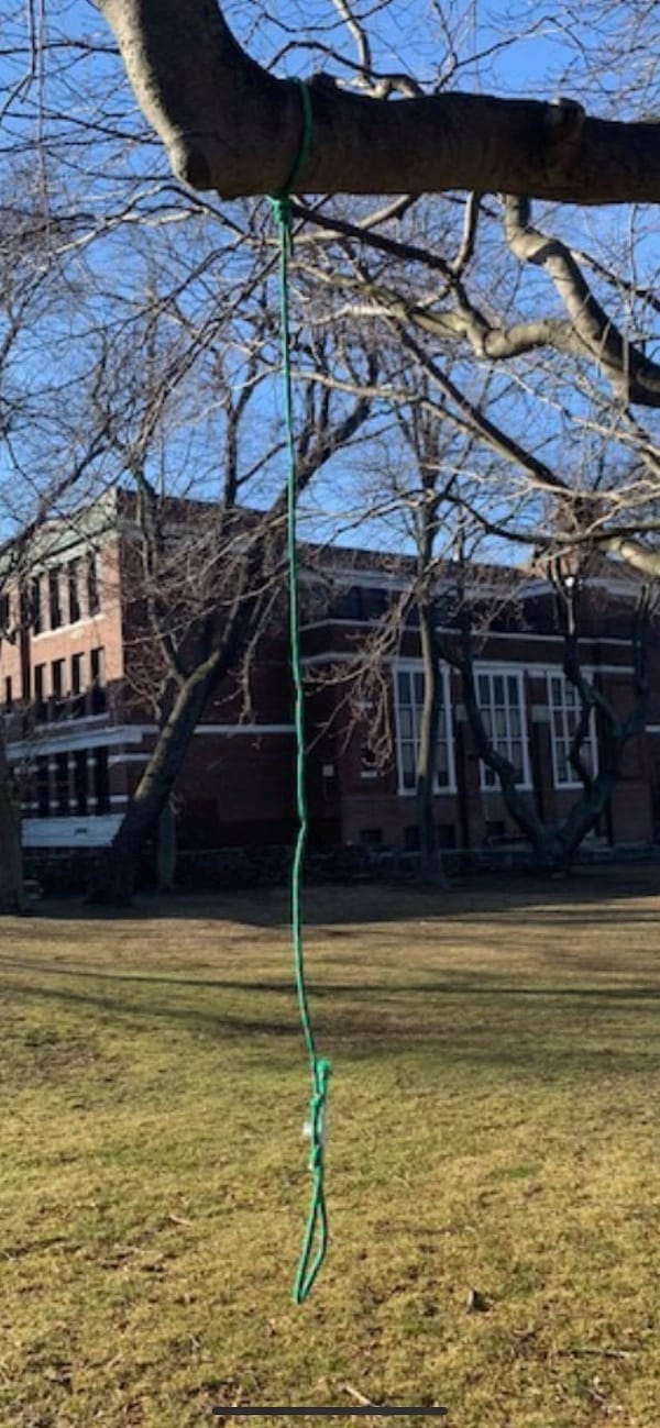 Swampscott Cops Taking Looped Rope Around Tree Branch Very Seriously