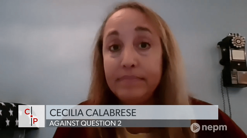 Agawam City Council Republican Cecilia Calabrese May Run For Lieutenant Governor, Sources Say