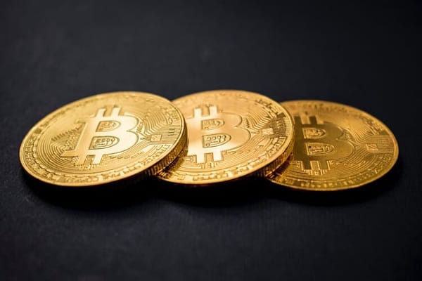 Elizabeth Warren Finds Common Ground With Donald Trump — On Bitcoin