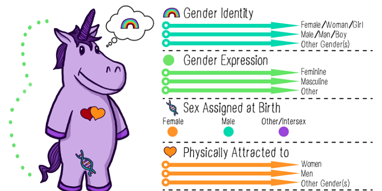 Franklin Using Gender Unicorn To Teach Sixth Graders There Are Infinite Genders