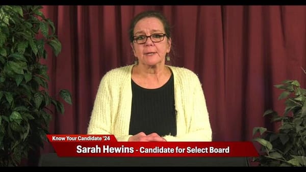 Carver Democratic State Rep Candidate Sarah Hewins Backed Pro-Illegal Immigrant Bills