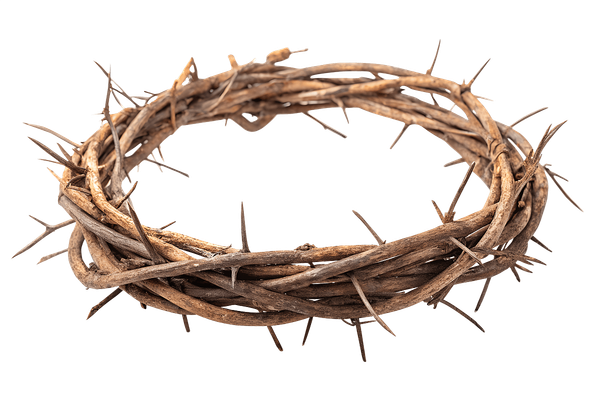 Why Jesus Wore A Crown of Thorns On Good Friday